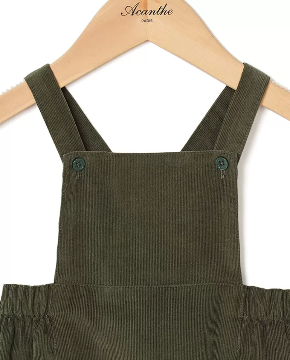 Acanthe Bloomers & Pantalons | Bloomer à bavette velours