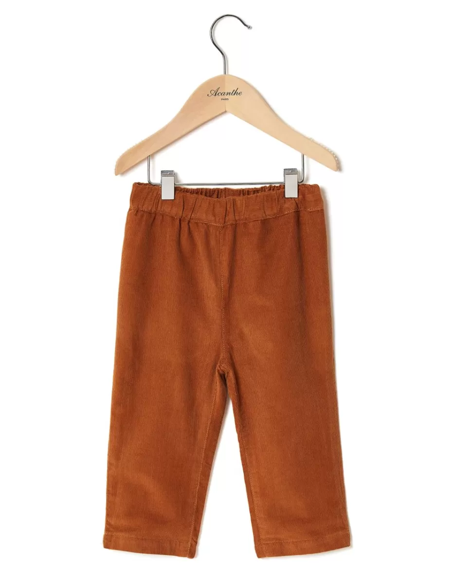 Acanthe Bloomers & Pantalons | Pantalon velours