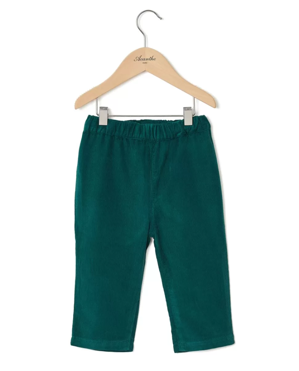 Acanthe Bloomers & Pantalons | Pantalon velours