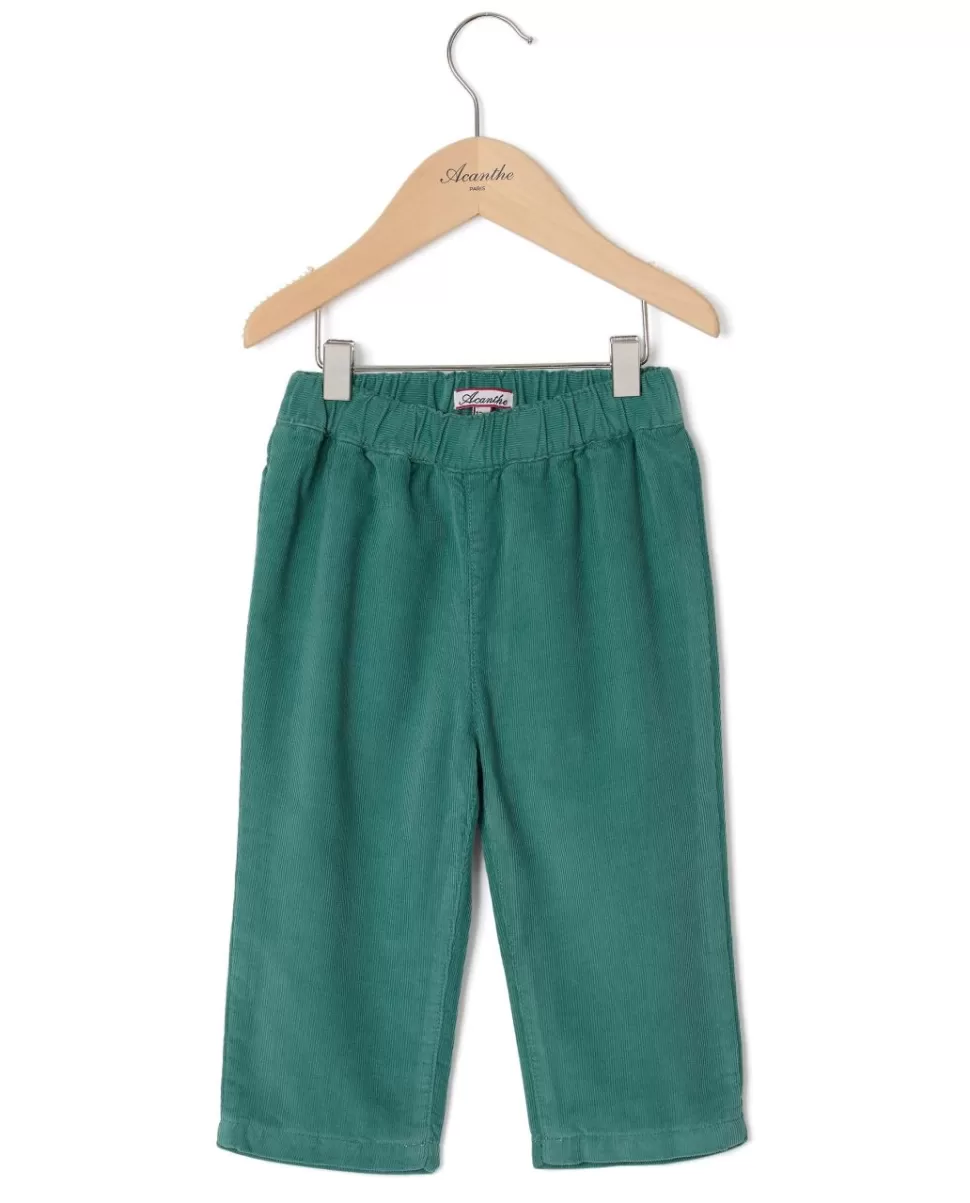 Acanthe Bloomers & Pantalons | Pantalon velours